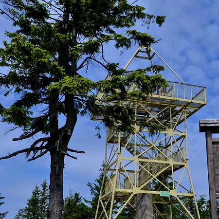 Villa Dom Na Mlaskawce Istebna