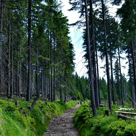 Dom Na Mlaskawce * Istebna